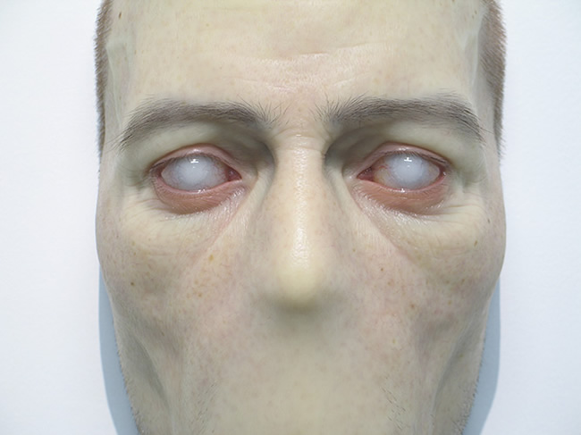 Sam Jinks hyper realists sculptures